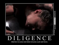 Diligence'