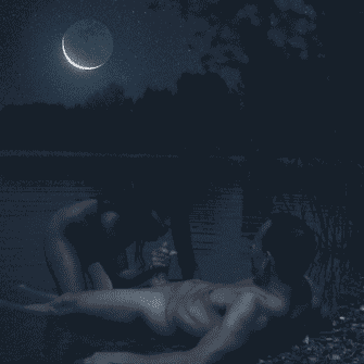 Blowjob in the moonlight: Brunette outdoor adventure picture 1 of 1