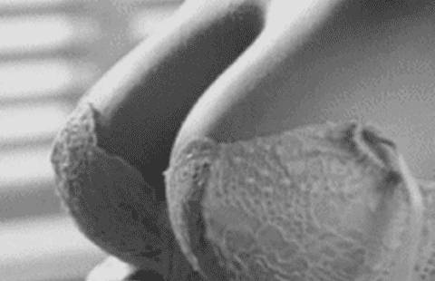 Big Tits Black Lace Bra Flashing Nipples picture 1 of 1