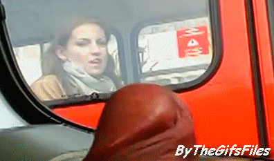 Amateur Bus Voyeur picture 1 of 1