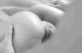 Big Cock Ass Teen Doggy Hardcore'