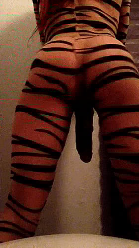 Fuck a Gorgeous Shemale: Tiger Body, Shemale Trap'