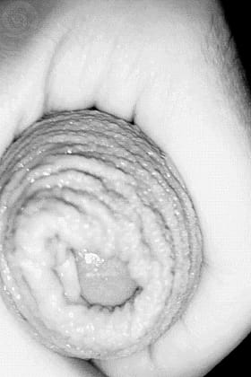 Big Dicks for Women: Get Your Fuck On with These Hard Cocks'