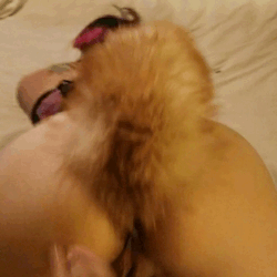 Amateur Teen Pussy Fucking picture 1 of 1