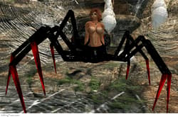 Female Spider Morph'