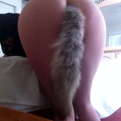 who doesnt want some tail?'