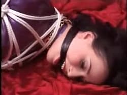 Bound And Gagged'