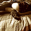 next post